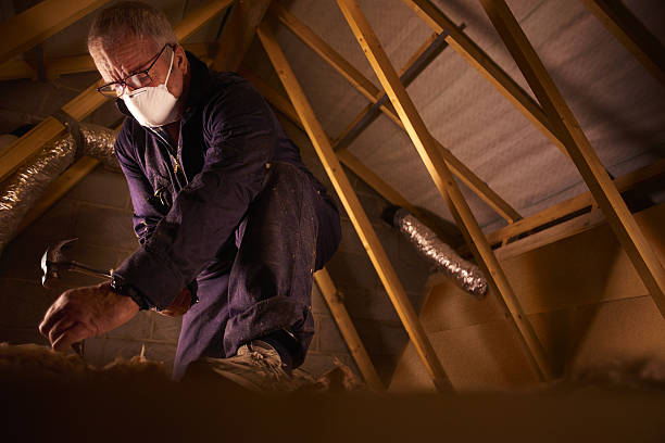 Best Insulation Maintenance and Repair in Cactus Flats, AZ